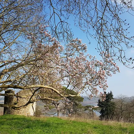 Chateau De La Coliniere - Vue Sur Parc 3* Oree-d'Anjou