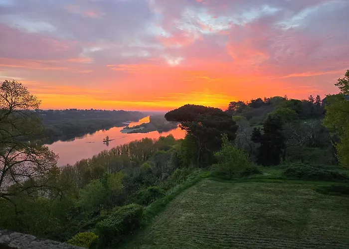 Chateau De La Coliniere *